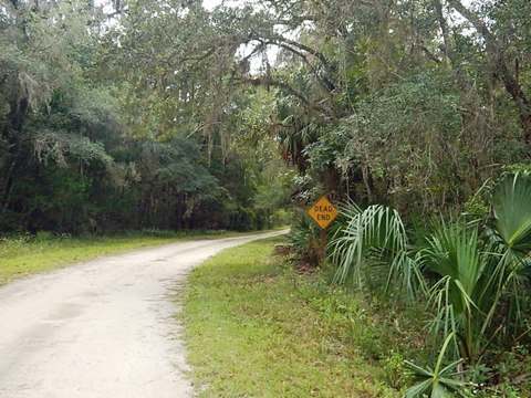 Lower Suwannee NWR, Nature Drive