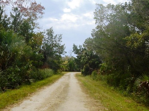 Florida Bike Trails, Nature Trail, Lower Suwannee NWR