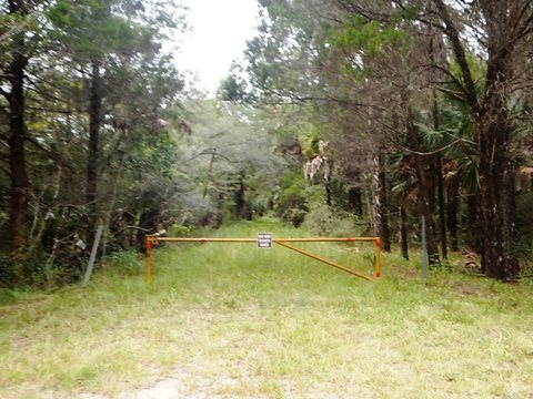 Florida Bike Trails, Nature Trail, Lower Suwannee NWR