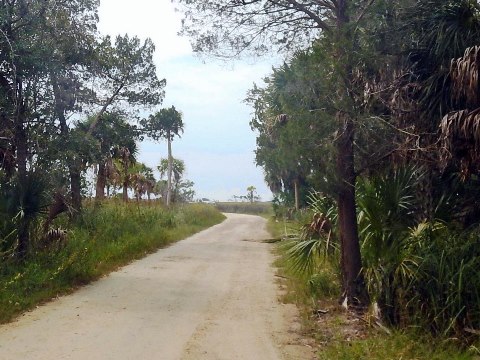 Lower Suwannee NWR, Nature Drive