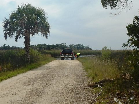 Florida Bike Trails, Nature Trail, Lower Suwannee NWR