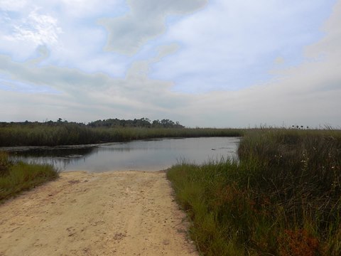 Florida Bike Trails, Nature Trail, Lower Suwannee NWR