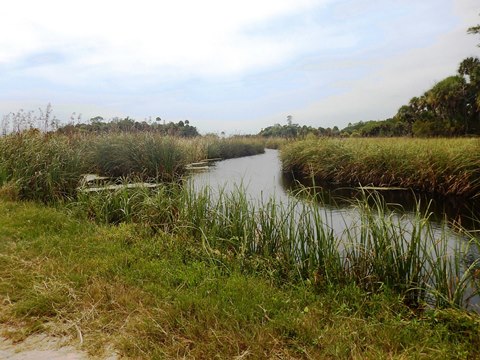 Florida Bike Trails, Nature Trail, Lower Suwannee NWR