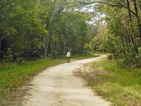 Florida Bike Trails, Nature Trail, Lower Suwannee NWR