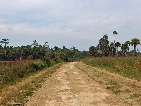 Florida Bike Trails, Nature Trail, Lower Suwannee NWR