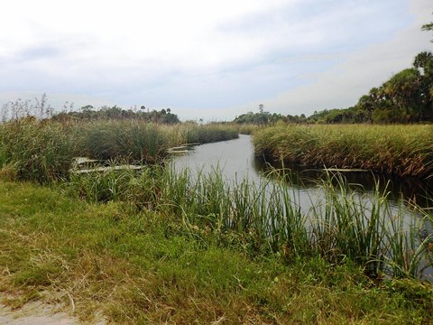 Florida Bike Trails, Nature Trail, Lower Suwannee NWR