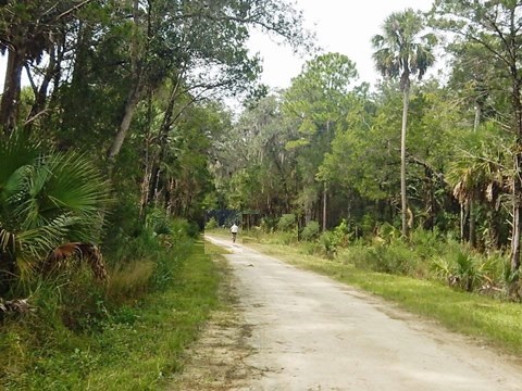 Florida Bike Trails, Nature Trail, Lower Suwannee NWR