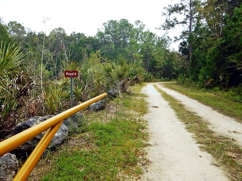 Florida Bike Trails, Nature Trail, Lower Suwannee NWR