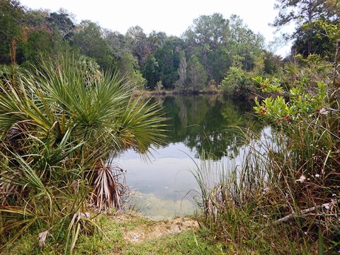 Florida Bike Trails, Nature Trail, Lower Suwannee NWR