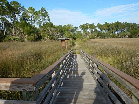 Lower Suwannee National Wildlife Refuge, Florida eco-biking