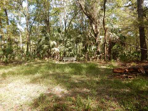 Lower Suwannee River Trail