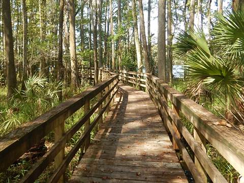 Lower Suwannee River Trail