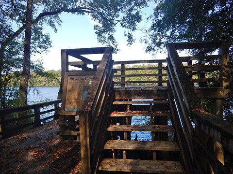 Lower Suwannee River Trail