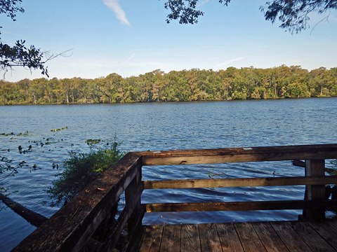 Lower Suwannee River Trail