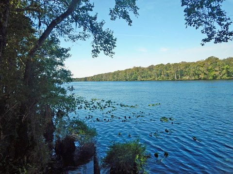 Lower Suwannee River Trail