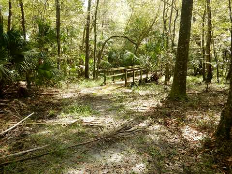 Lower Suwannee River Trail