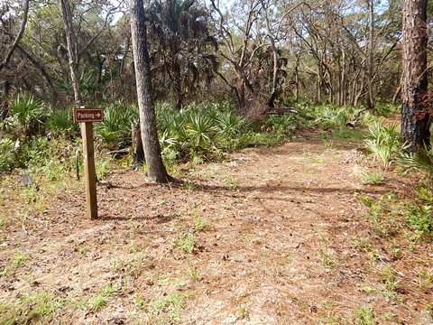 Lower Suwannee River Trail