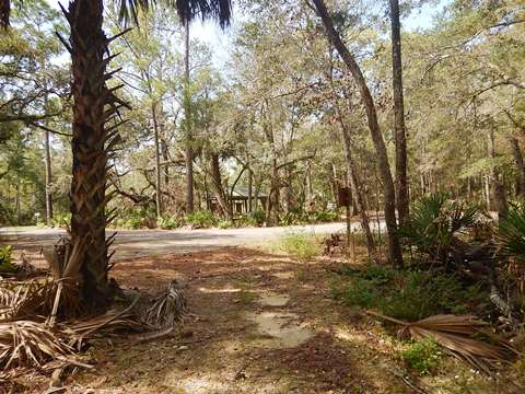 Lower Suwannee River Trail