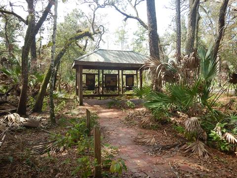 Lower Suwannee River Trail