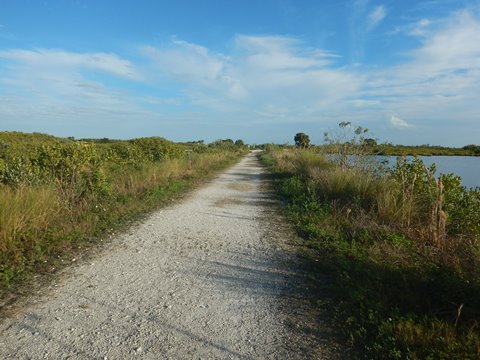 Merritt Island hiking, Wild Bird Trail