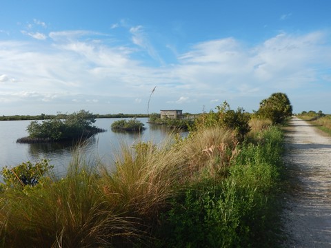 Merritt Island hiking, Wild Bird Trail