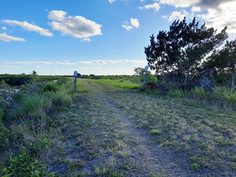 Merritt Island hiking, Wild Bird Trail