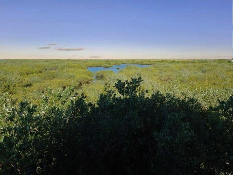 Merritt Island hiking, Cruikshank