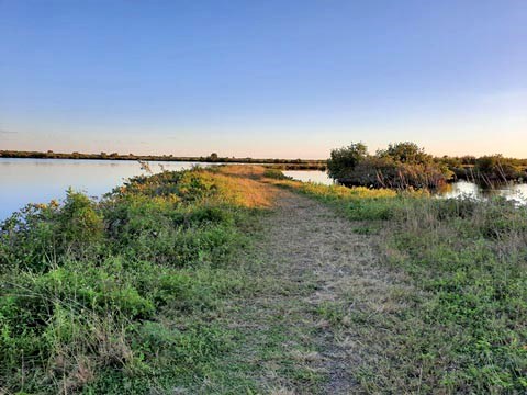 Merritt Island hiking, Cruikshank