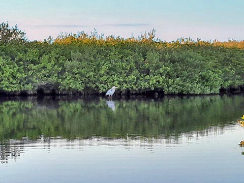 Merritt Island hiking, Cruikshank