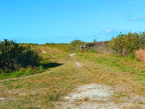 Merritt Island hiking, Cruikshank