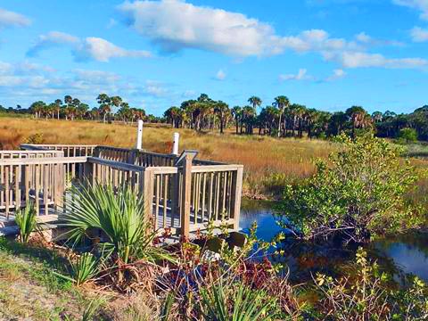 Merritt Island hiking, Cruikshank