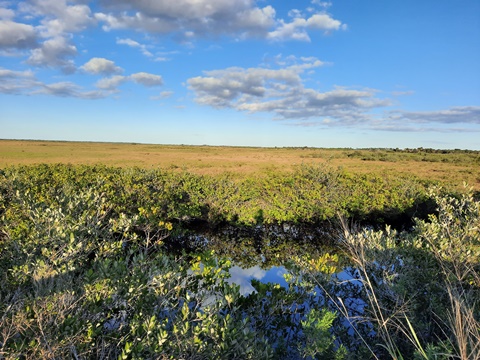 Merritt Island hiking, Cruikshank