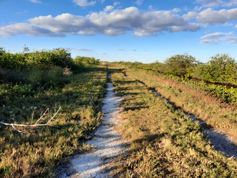 Merritt Island hiking, Cruikshank