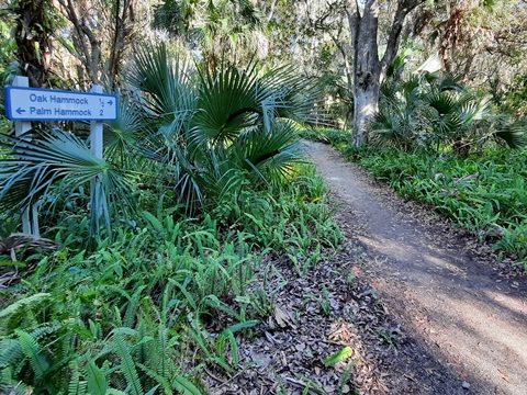 Merritt Island hiking, Oak & Palm Hammock Trails