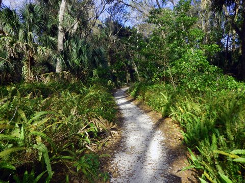 Merritt Island hiking, Oak & Palm Hammock Trails