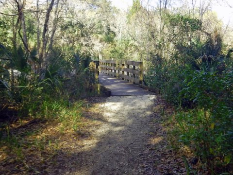 Merritt Island hiking, Oak & Palm Hammock Trails