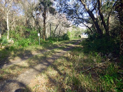 Merritt Island hiking, Oak & Palm Hammock Trails