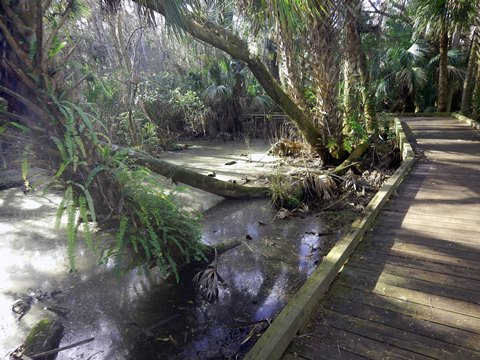 Merritt Island hiking, Oak & Palm Hammock Trails