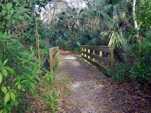 Merritt Island hiking, Oak & Palm Hammock Trails