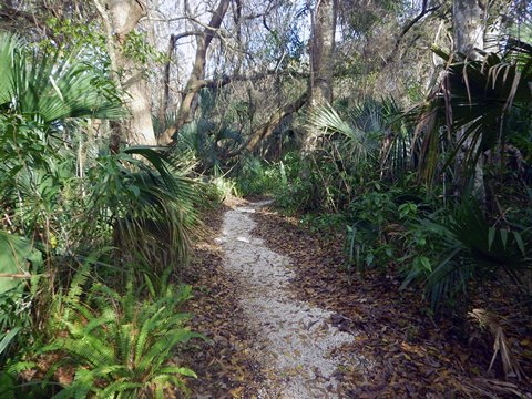 Merritt Island hiking, Oak & Palm Hammock Trails