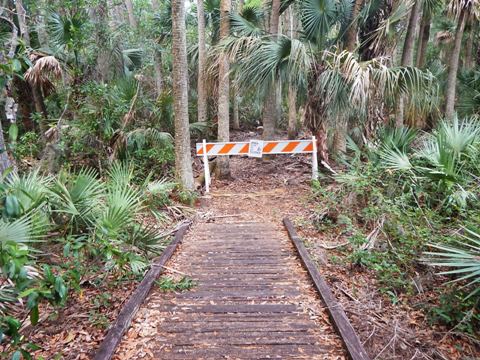 Merritt Island-Palm Hammock