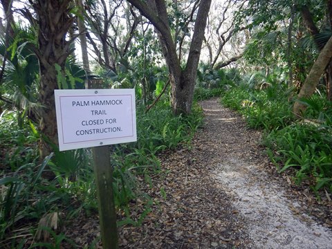 Merritt Island-Palm Hammock