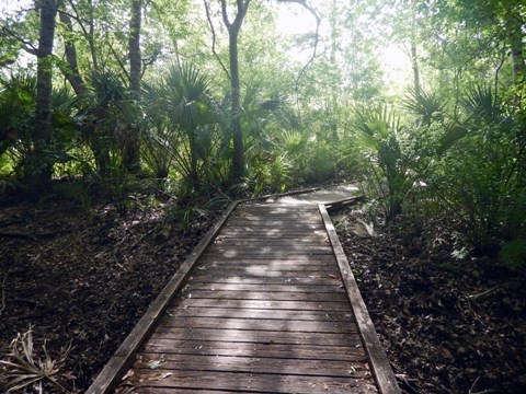 Merritt Island hiking, Oak & Palm Hammock Trails