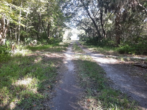 Merritt Island hiking, Oak & Palm Hammock Trails