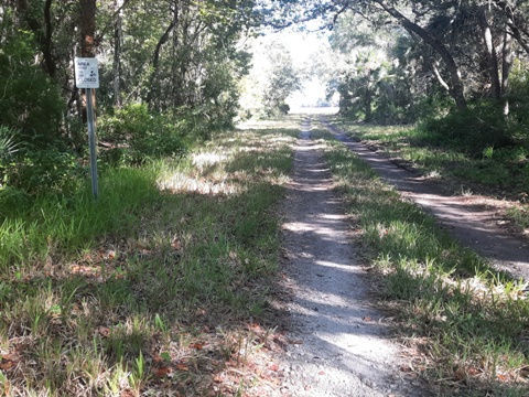 Merritt Island hiking, Oak & Palm Hammock Trails