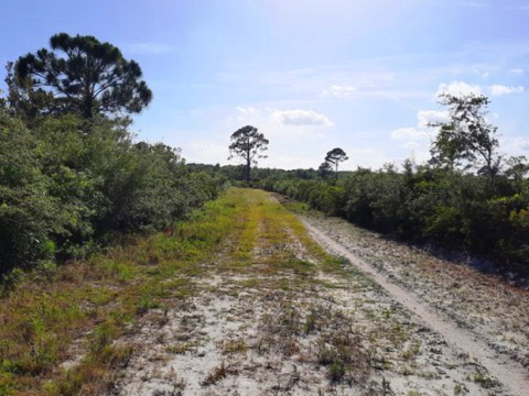 Merritt Island hiking, Birdhouse Trail Boardwalk