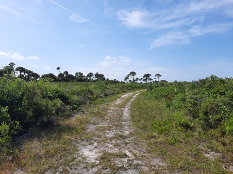 Merritt Island biking, hiking, Scrub Ridge Trail