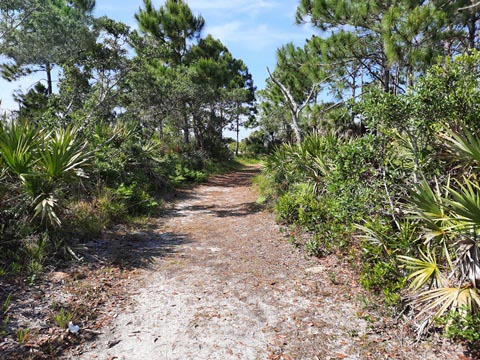 Merritt Island biking, hiking, Scrub Ridge Trail