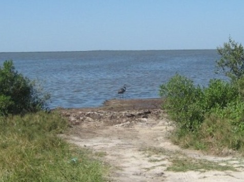 Merritt Island wildlife, Biolab Road