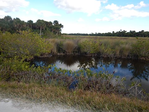 Merritt Island biking, Wildlife Drive